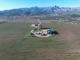 С/Х УГОДЬЯ С ДОМОМ В ПРОВИНЦИИ ТАРРАГОНА thumbnail 75