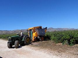 С/Х УГОДЬЯ С ДОМОМ В ПРОВИНЦИИ ТАРРАГОНА thumbnail 79