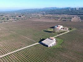 С/Х УГОДЬЯ С ДОМОМ В ПРОВИНЦИИ ТАРРАГОНА thumbnail 80