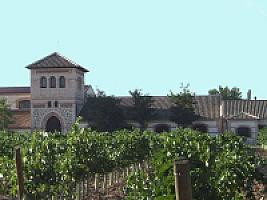 ВИНОДЕЛЬНЯ С ВИНОГРАДНИКАМИ thumbnail 6