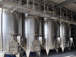 ВИНОДЕЛЬНЯ С ВИНОГРАДНИКАМИ thumbnail 11