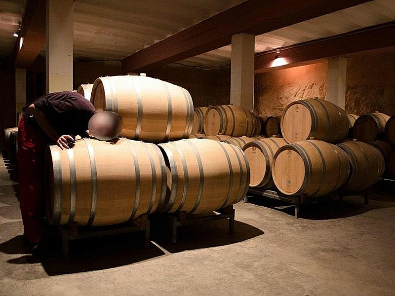 ВИНОДЕЛЬНЯ С ВИНОГРАДНИКОМ