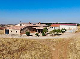 ВИНОДЕЛЬНЯ С ВИНОГРАДНИКОМ thumbnail 2