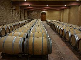 ВИНОДЕЛЬНЯ С ВИНОГРАДНИКОМ thumbnail 5