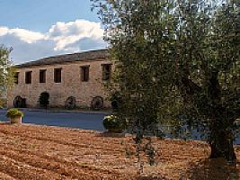 ВИНОДЕЛЬНЯ С ВИНОГРАДНИКОМ thumbnail 6