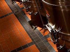 ВИНОДЕЛЬНЯ С ВИНОГРАДНИКОМ thumbnail 8