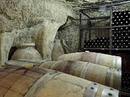 ВИНОГРАДНИКИ С ВИНОДЕЛЬНЕЙ ПОД ТАРРАГОНОЙ thumbnail 4