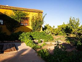 ВИЛЛА С АПЕЛЬСИНАМИ ПОД ВАЛЕНСИЕЙ thumbnail 50