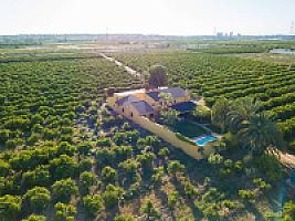 ВИЛЛА С АПЕЛЬСИНАМИ ПОД ВАЛЕНСИЕЙ thumbnail 55