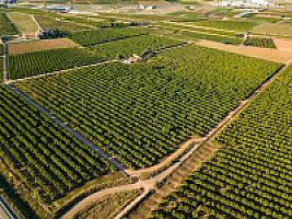 ВИЛЛА С АПЕЛЬСИНАМИ ПОД ВАЛЕНСИЕЙ thumbnail 58