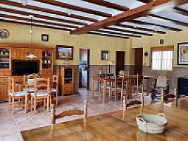 ПЛАНТАЦИЯ МАНДАРИНОВ ПОД ВАЛЕНСИЕЙ thumbnail 6