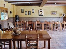 ПЛАНТАЦИЯ МАНДАРИНОВ ПОД ВАЛЕНСИЕЙ thumbnail 8