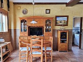 ПЛАНТАЦИЯ МАНДАРИНОВ ПОД ВАЛЕНСИЕЙ thumbnail 9