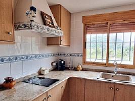 ПЛАНТАЦИЯ МАНДАРИНОВ ПОД ВАЛЕНСИЕЙ thumbnail 10