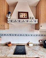 ПЛАНТАЦИЯ МАНДАРИНОВ ПОД ВАЛЕНСИЕЙ thumbnail 11