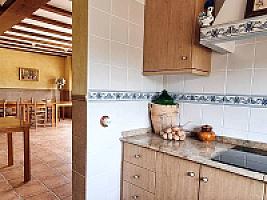 ПЛАНТАЦИЯ МАНДАРИНОВ ПОД ВАЛЕНСИЕЙ thumbnail 12