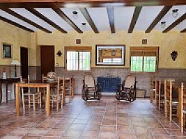 ПЛАНТАЦИЯ МАНДАРИНОВ ПОД ВАЛЕНСИЕЙ thumbnail 13