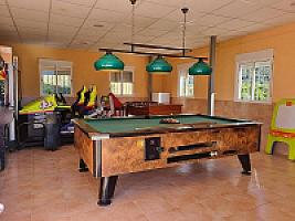 ПЛАНТАЦИЯ МАНДАРИНОВ ПОД ВАЛЕНСИЕЙ thumbnail 16