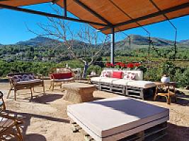 ПЛАНТАЦИЯ МАНДАРИНОВ ПОД ВАЛЕНСИЕЙ thumbnail 20