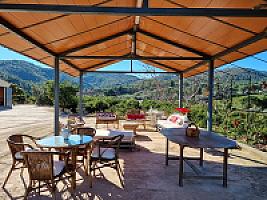 ПЛАНТАЦИЯ МАНДАРИНОВ ПОД ВАЛЕНСИЕЙ thumbnail 21