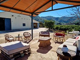 ПЛАНТАЦИЯ МАНДАРИНОВ ПОД ВАЛЕНСИЕЙ thumbnail 22