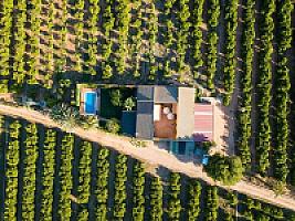 ВИЛЛА С АПЕЛЬСИНАМИ ПОД ВАЛЕНСИЕЙ thumbnail 60