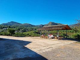 ПЛАНТАЦИЯ МАНДАРИНОВ ПОД ВАЛЕНСИЕЙ thumbnail 31