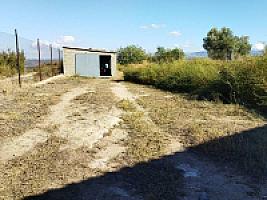 ПЛАНТАЦИЯ ЧЕРЕШНИ thumbnail 5