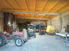 ПЛАНТАЦИЯ ЧЕРЕШНИ thumbnail 7