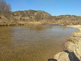 ПЛАНТАЦИЯ ЧЕРЕШНИ thumbnail 15