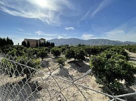 УГОДЬЯ ЦИТРУСОВЫХ С ДОМОМ thumbnail 5