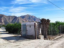 УГОДЬЯ ЦИТРУСОВЫХ С ДОМОМ thumbnail 6