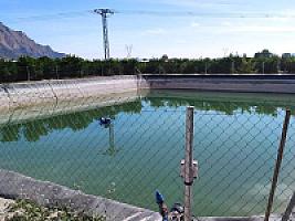 УГОДЬЯ ЦИТРУСОВЫХ С ДОМОМ thumbnail 10