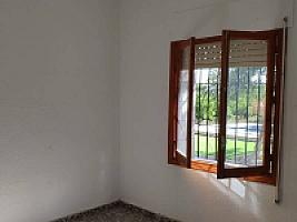 УГОДЬЯ ЦИТРУСОВЫХ С ДОМОМ thumbnail 22