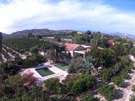 УГОДЬЯ ЦИТРУСОВЫХ С ДОМОМ thumbnail 37