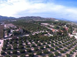 УГОДЬЯ ЦИТРУСОВЫХ С ДОМОМ thumbnail 39