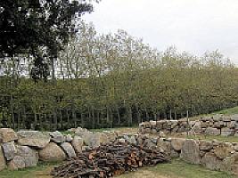 ПОМЕСТЬЕ В ПРЕДПИРЕНЕЯХ thumbnail 82