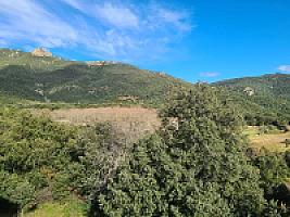 ПОМЕСТЬЕ В ПРЕДПИРЕНЕЯХ thumbnail 87