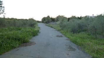 ПОМЕСТЬЕ НА ПОБЕРЕЖЬЕ КОСТА ДОРАДА thumbnail 17