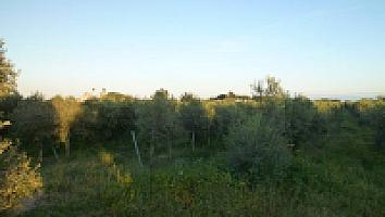 ПОМЕСТЬЕ НА ПОБЕРЕЖЬЕ КОСТА ДОРАДА thumbnail 22