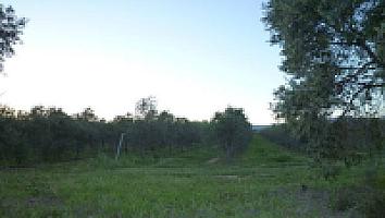 ПОМЕСТЬЕ НА ПОБЕРЕЖЬЕ КОСТА ДОРАДА thumbnail 24