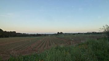 ПОМЕСТЬЕ НА ПОБЕРЕЖЬЕ КОСТА ДОРАДА thumbnail 29