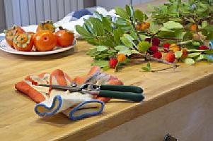 УСАДЬБА НА ПОБЕРЕЖЬЕ ГАРРАФ thumbnail 7