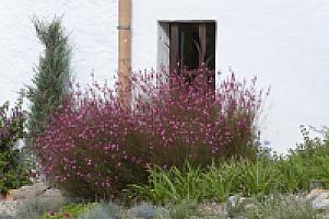 УСАДЬБА НА ПОБЕРЕЖЬЕ ГАРРАФ thumbnail 30