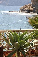 ВИЛЛА У МОРЯ НА ПОБЕРЕЖЬЕ КОСТА БЛАНКА thumbnail 34